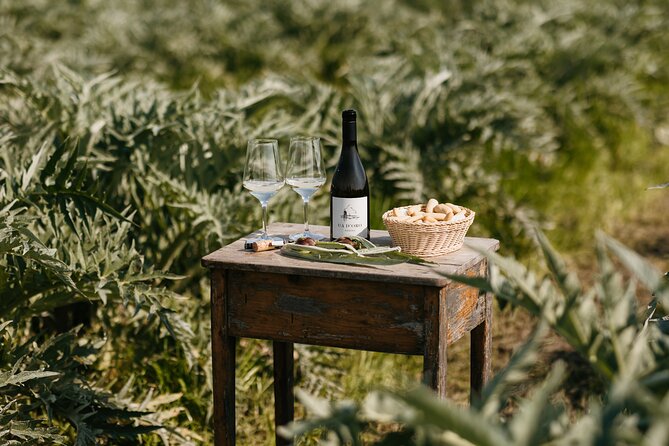 Private Sunset Wine Experience at IsolaLeVignole - Good To Know