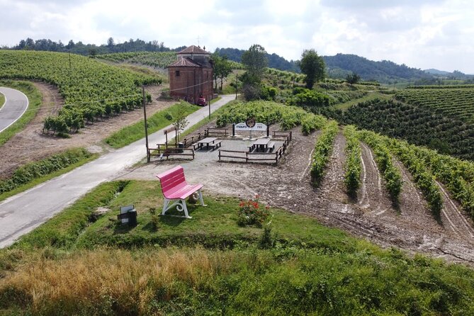 Private Tasting of Monferrato Wines With Visit to the Cellar - Good To Know