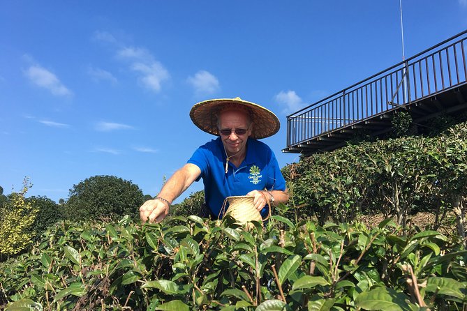 Private Tea Picking Tour and Taste in Yangshuo - Good To Know