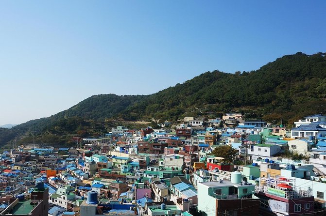 Private Tour, 1Day Busan City Tour by KTX From Seoul - Good To Know