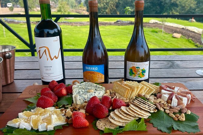 Private Tour at Maturana Wines and VIK Winery With Lunch Pairing - Good To Know