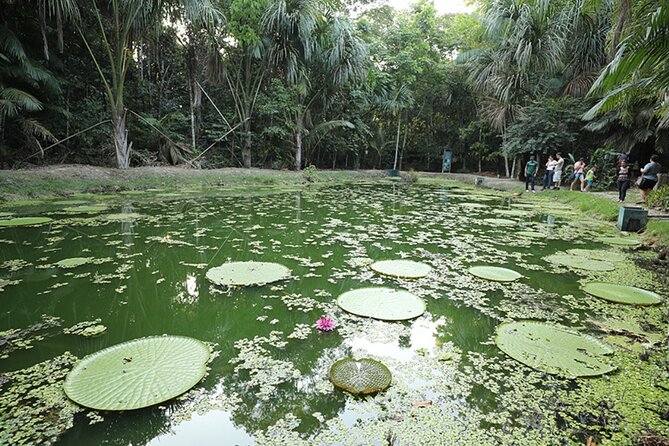Private Tour at Musa (Botanical Garden, Amazon Museum) - Good To Know