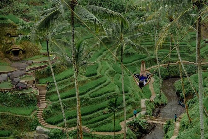Private Tour : Best of Ubud - Good To Know