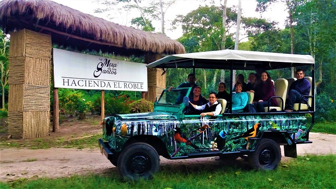 Private Tour - Coffee Tour / Gastronomic Tour (Cultivations) - Good To Know