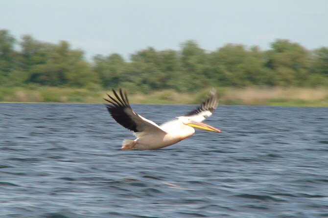 Private Tour : Danube Delta From Bucharest - 3 Days / 2 Nights - Good To Know