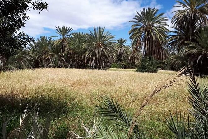 Private Tour Discovering Nature and History in Taroudant - Good To Know