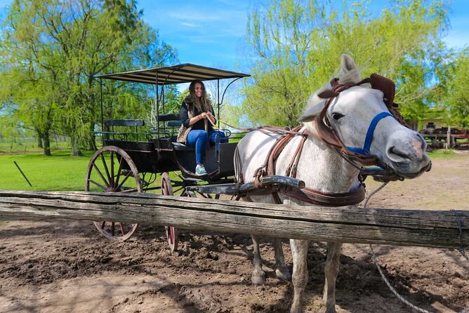 Private Tour: Gaucho Ranch in San Antonio De Areco From Buenos Aires - Good To Know