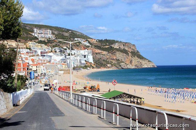 Private Tour: Half-Day Visiting Setúbal Winery and Lunch Grill Fish at Sessimbra - Good To Know