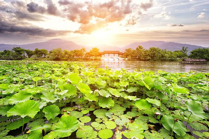 Private Tour Hangzhou West Lake and Tea Fields Discovery - Good To Know