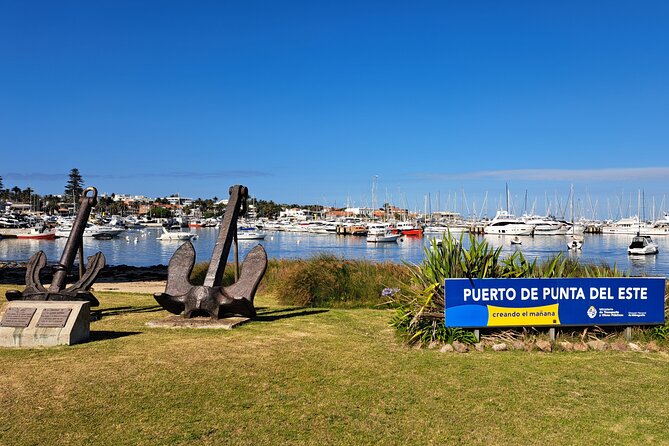 Private Tour in Punta Del Este - Good To Know