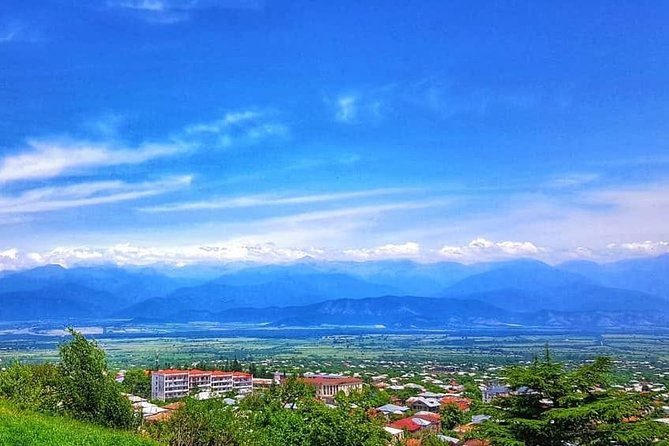 Private Tour in Wine Region Kakheti - Good To Know