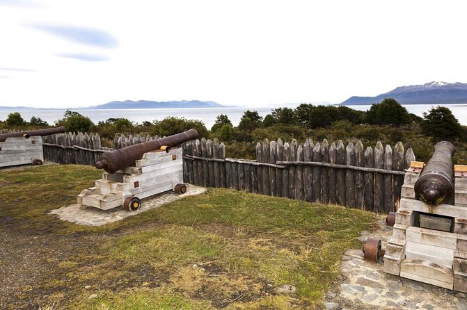 Private Tour King Penguin Park From Punta Arenas - Good To Know