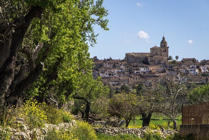 Private Tour: Mallorca Inland Villages and Hidden Marvels - Good To Know