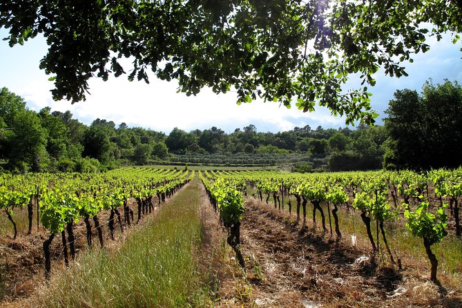 Private Tour of Small Carpathian Wine Route With the Red Stone Castle - Good To Know