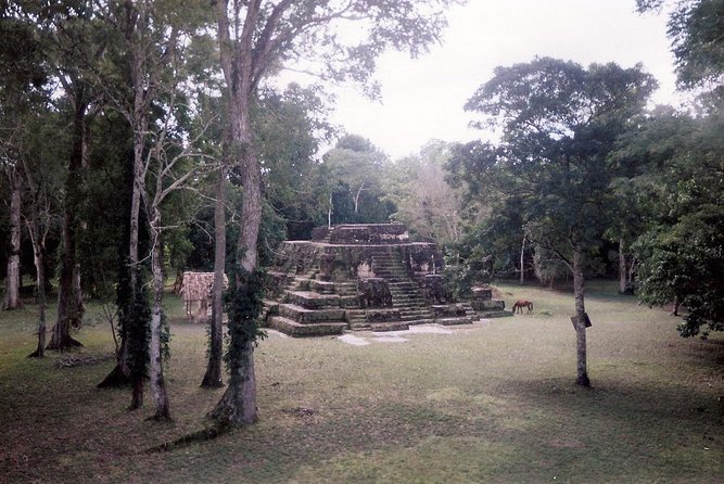 Private Tour of Uaxactún From Flores - Good To Know