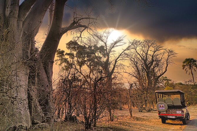 Private Tour of Victoria Falls Town in Open 4x4 Safari Jeep - Good To Know