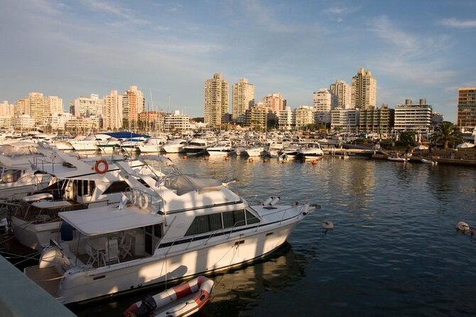 Private TOUR Punta Del Este With TANGO TOUR Super Exclusive - Good To Know