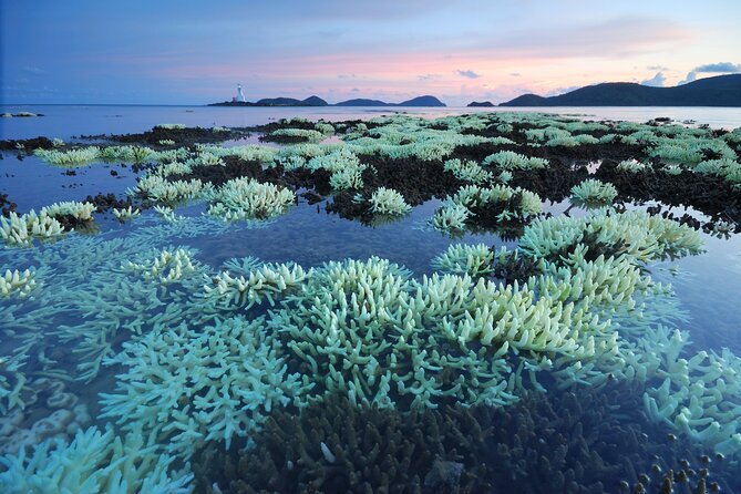 Private Tour Siao Liuchiu-Coral Island From Kaohsiung - Good To Know