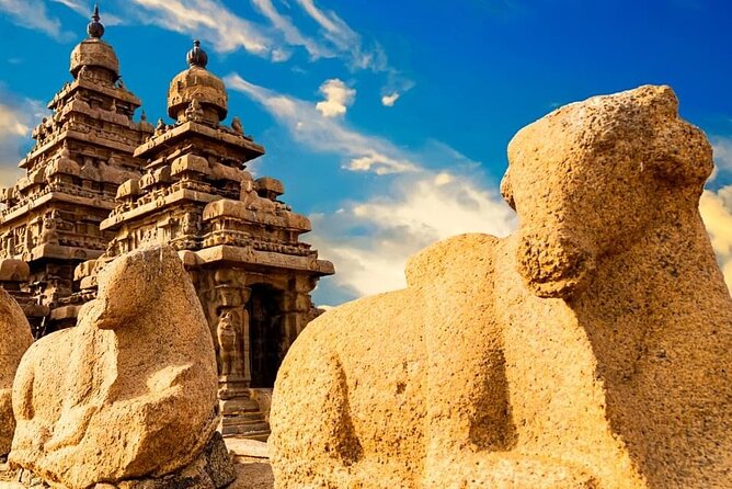 Private Tour South India and Goa for 27 Days - Good To Know