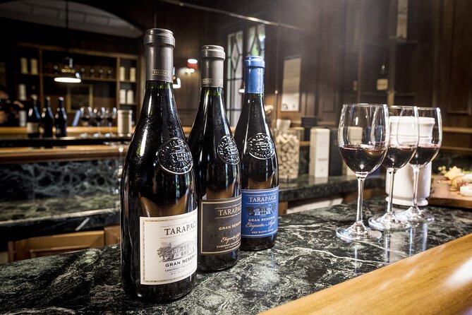 Private Tour Tarapaca Winery, Zeifendl Lunch and Santa Ema Wines - Good To Know