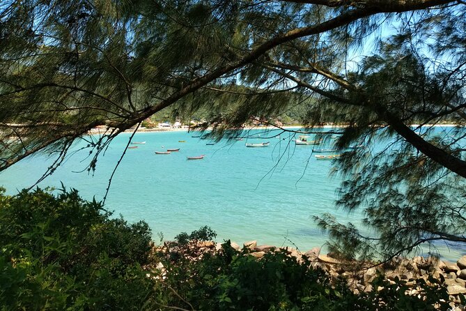 Private Tour: The 7 Most Preserved Beaches on the South Island by Floripa Nativa - Good To Know