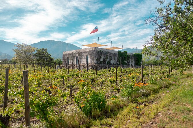 Private Tour to Maipo or Casablanca Boutique Wineries - Good To Know