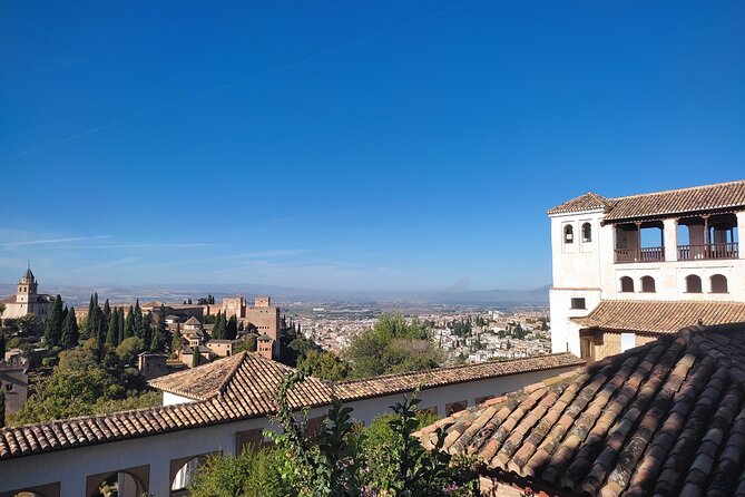Private Tour to the Alhambra With Official Guide - Meeting Point Details