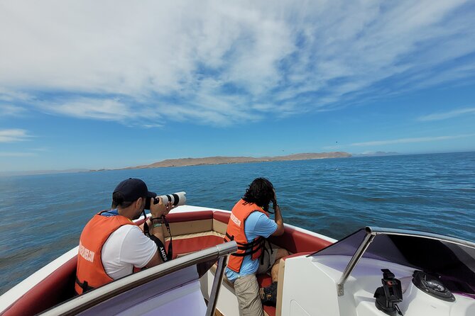 Private Tour to the Ballestas Islands - Good To Know
