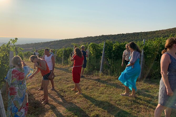 Private Tour, Wine Tasting, Ardenica Monastery, Durres. Car & Driver Included - Good To Know