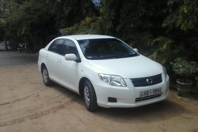 Private Transfer Between Arugambay - Colombo, Negombo, Airport - Good To Know