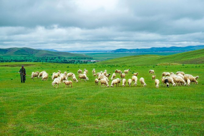 Private Transfer Between Beijing and Bashang Grassland in Mulan Weichang - Good To Know