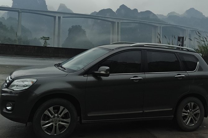 Private Transfer From Chengdu to Mount Emei and Stops at Leshan Giant Buddha - Good To Know