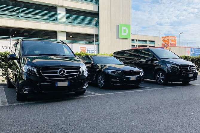 Private Transfer From Hamburg City to Fredericia Cruise Port - Good To Know