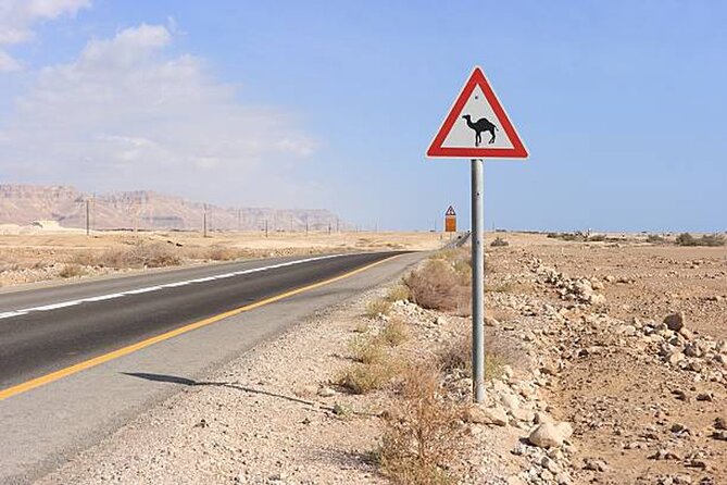 Private Transfer From Luxor to Abu Simbel - Good To Know