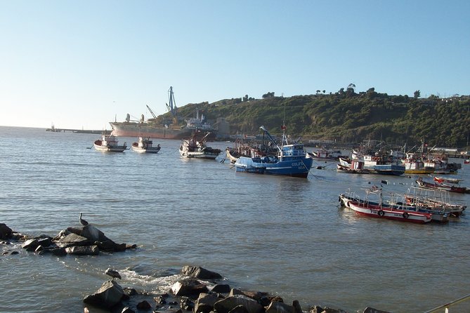 Private Transfer From San Antonio Port to Valparaiso or Viña Del Mar. - Good To Know