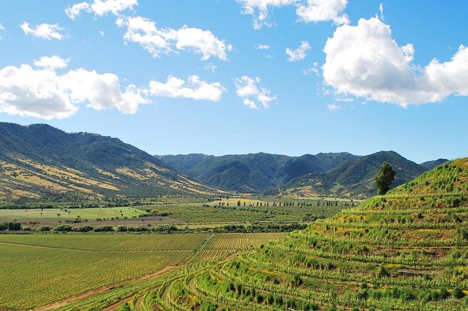 Private Transfer From Santiago or Santiago Airport to Colchagua or Santa Cruz - Good To Know