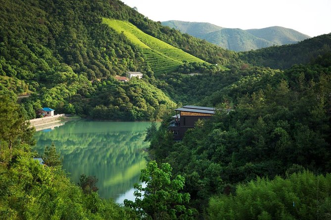 Private Transfer to Mogan Mountian From Hangzhou - Good To Know