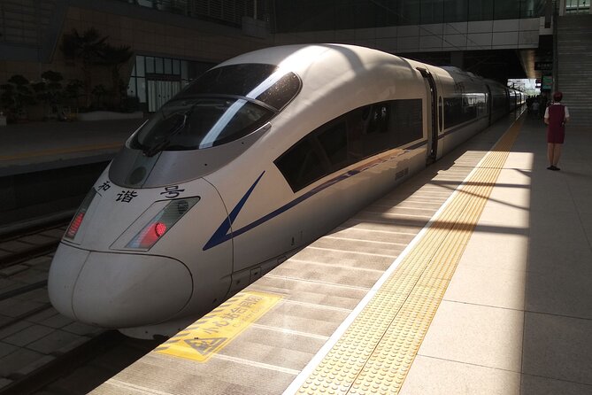 Private Transfer: Train Stations (Tianjin/Tanggu) to Tianjin Cruise Port - Good To Know