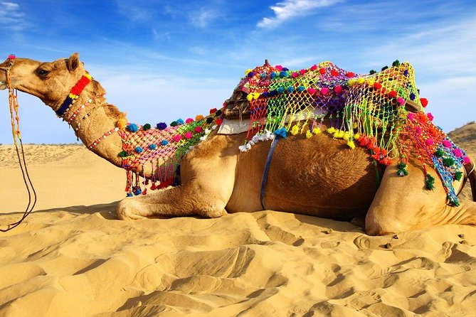 Private Transfers New Delhi To Pushkar Drop - Good To Know