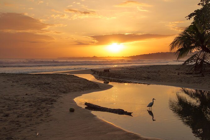 Private Transport Arenal to Tamarindo - Good To Know