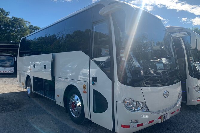 Private Transportation From the Airport to Playa Langosta - Good To Know