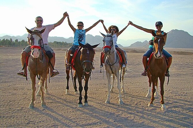 Private Transportation To Adventure Safari By Horse In Sharm El Sheikh - Good To Know