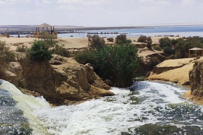 Private Trip to Fayum and Valley of the Whales With Sand Skate - Good To Know