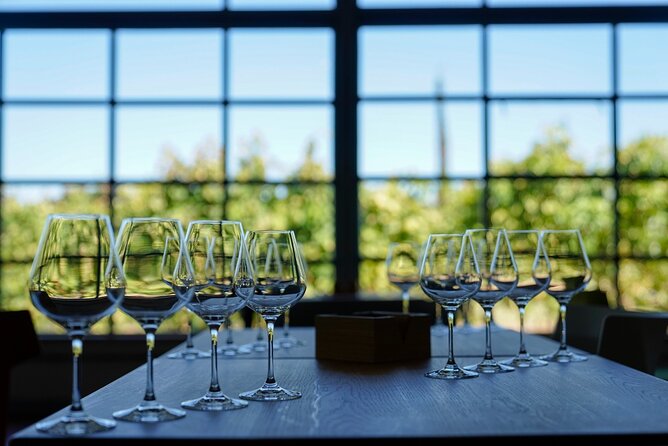 Private Viña Edén Winery Tour From Punta Del Este - Good To Know
