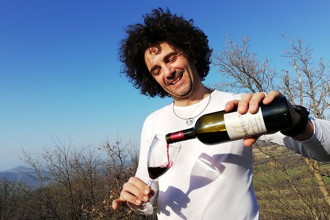 Private Wine Tour and Tasting With an Expert Guide and Sommelier - Good To Know