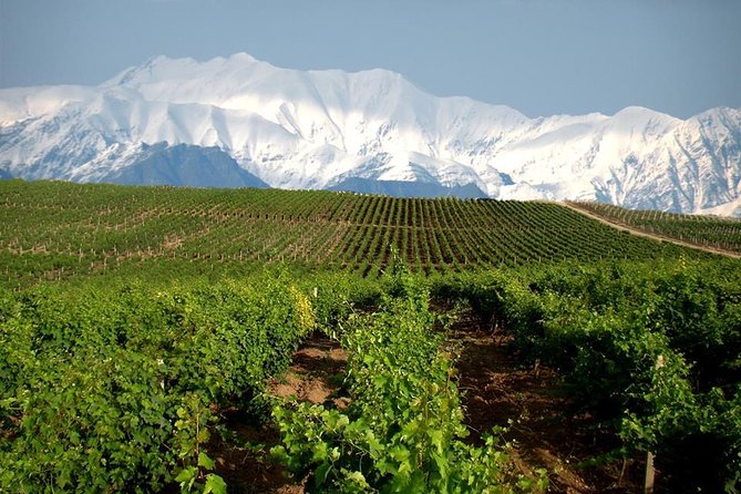 Private Wine Tour in Azerbaijan - Good To Know