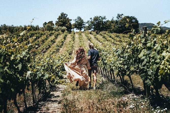 Private Wine Tour in Provence With an Expert - Good To Know