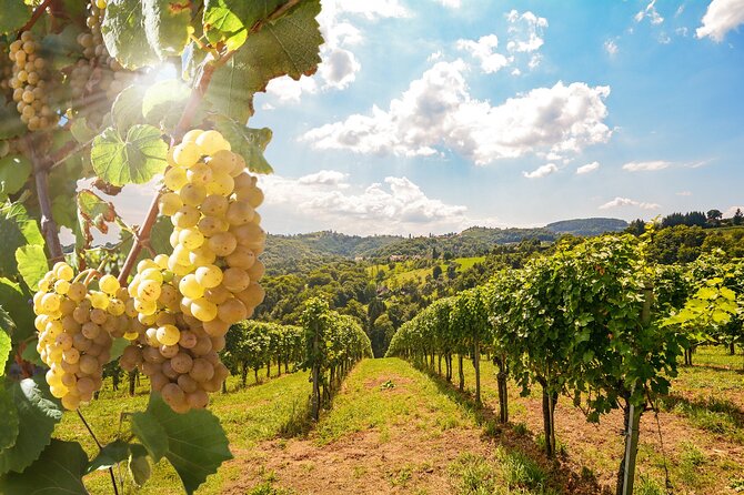 Private Wine Tour in the Tuscan Countryside From Florence - Good To Know
