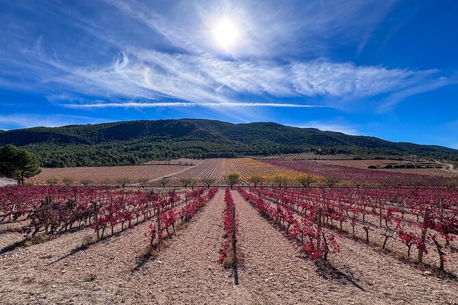 Private Wine Tour to the Costa Blanca Wineries - Good To Know
