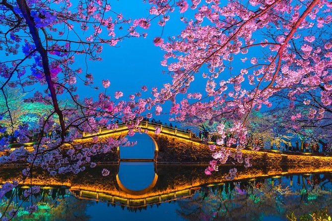 Private Wuxi Day Tour From Shanghai by Bullet Train - Good To Know